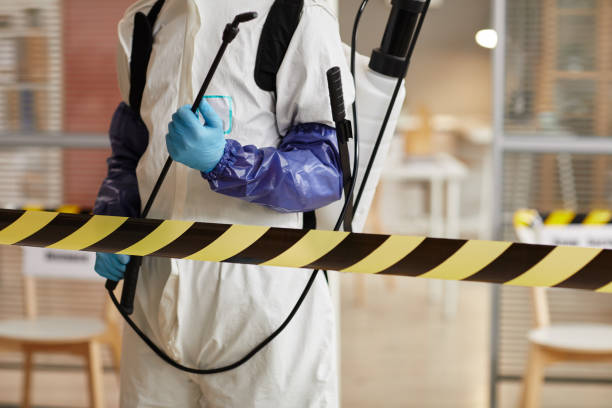Professional Sewage Cleanup technician working in Hordville, NE